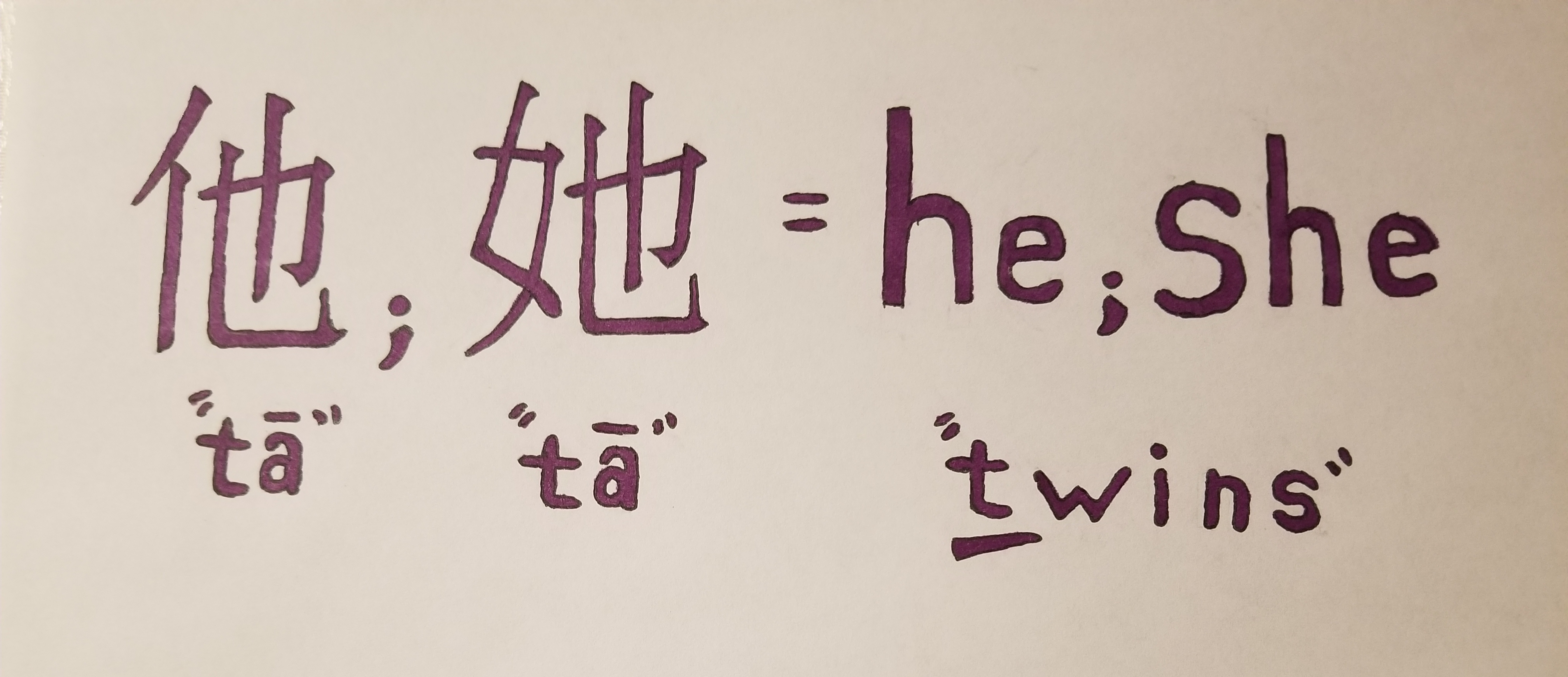 tā 他她 pronoun in chinese for he and she on purple characters on blank white paper